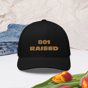 GOLD 801 Trucker Cap