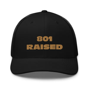 GOLD 801 Trucker Cap