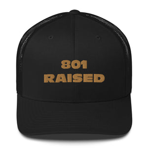 GOLD 801 Trucker Cap