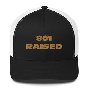 GOLD 801 Trucker Cap