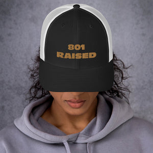 GOLD 801 Trucker Cap