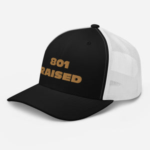 GOLD 801 Trucker Cap