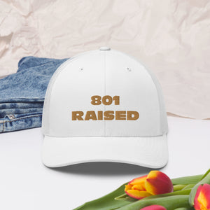 GOLD 801 Trucker Cap