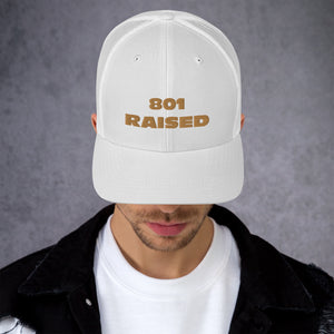 GOLD 801 Trucker Cap