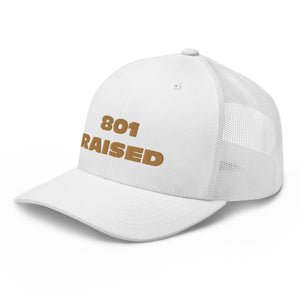 GOLD 801 Trucker Cap