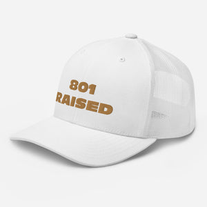 GOLD 801 Trucker Cap