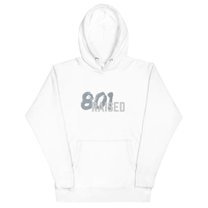 Unisex 801 Soft Hoodie - 801raised