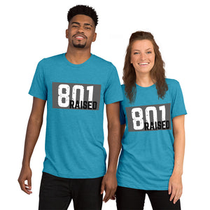 Unisex 801 Tri-Blend Tee - 801raised