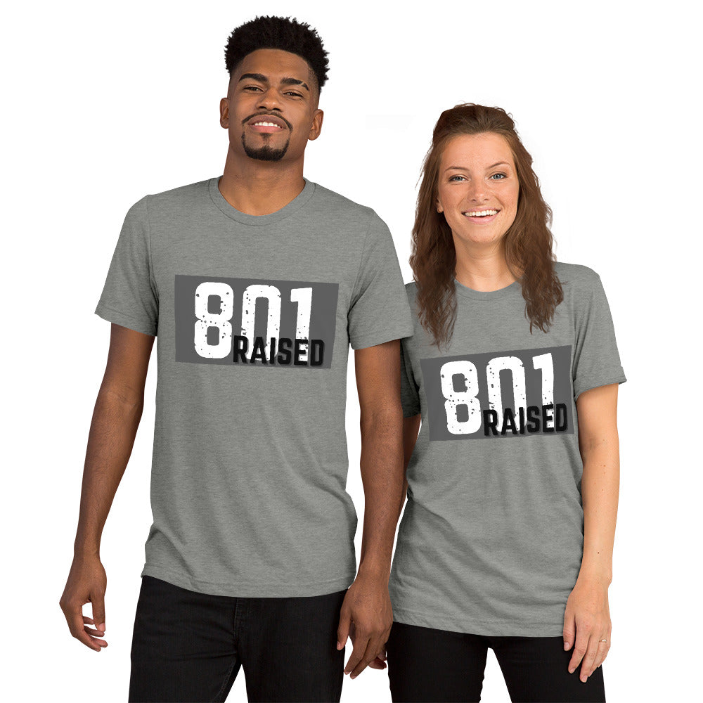 Unisex 801 Tri-Blend Tee - 801raised