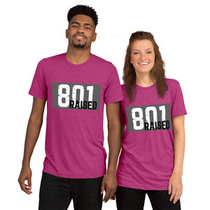 Unisex 801 Tri-Blend Tee - 801raised