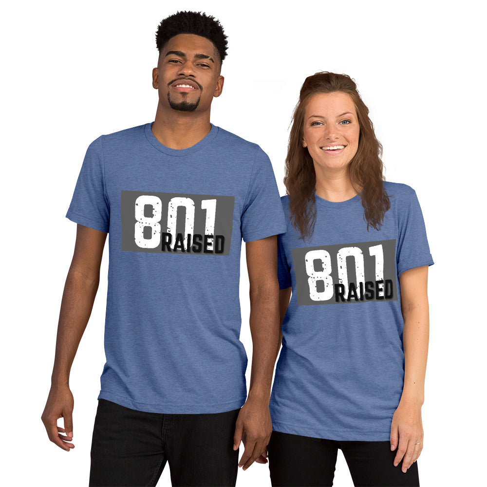 Unisex 801 Tri-Blend Tee - 801raised