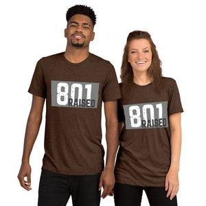 Unisex 801 Tri-Blend Tee - 801raised