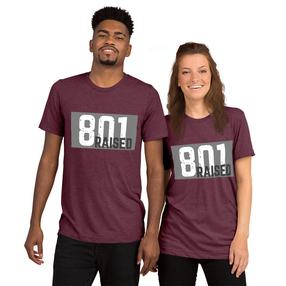 Unisex 801 Tri-Blend Tee - 801raised