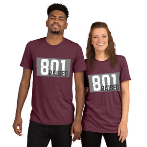 Unisex 801 Tri-Blend Tee - 801raised