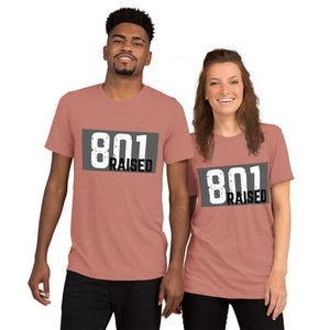 Unisex 801 Tri-Blend Tee - 801raised