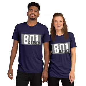 Unisex 801 Tri-Blend Tee - 801raised