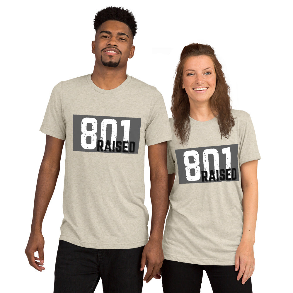 Unisex 801 Tri-Blend Tee - 801raised