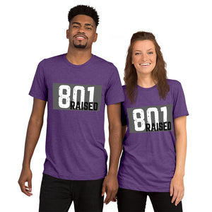 Unisex 801 Tri-Blend Tee - 801raised