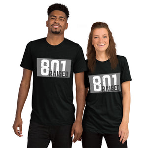 Unisex 801 Tri-Blend Tee - 801raised