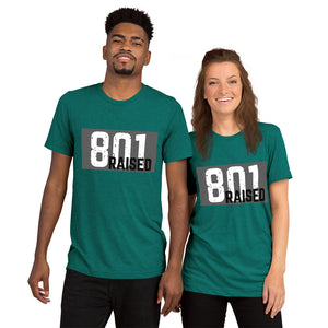 Unisex 801 Tri-Blend Tee - 801raised